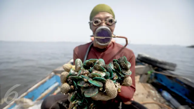 Perjuangan Pencari Kerang Hijau di Pesisir Cilincing- Faizal Fanani-20170407-