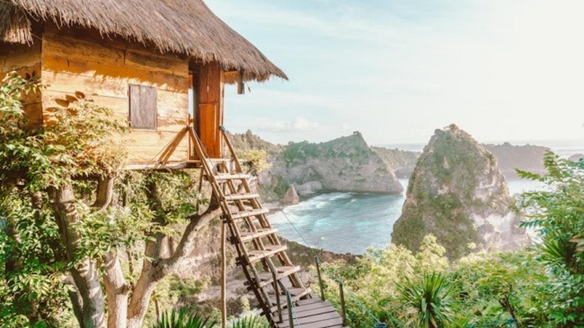 7 Model Rumah Pohon Sederhana dari Bambu, Jadi Tempat Healing Terbaik dan Estetik
