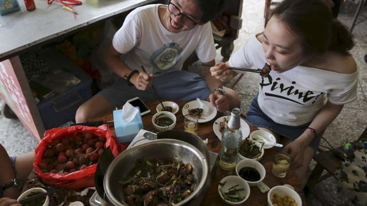 Sadis, ribuan anjing & kucing dibantai untuk dikonsumsi di China