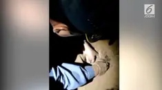 Lembaga Restorasi Spesies di Taman Nasional Korea Selatan mengumumkan bayi beruang hitam berhasil lahir melalui inseminasi buatan. Ini menjadi yang pertama di dunia.