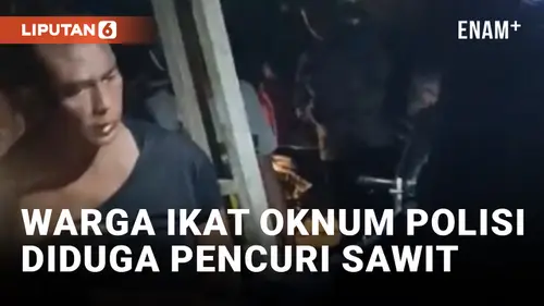 VIDEO: Diduga Terlibat Pencurian Sawit, Oknum Polisi Diikat Warga Aceh Tamiang