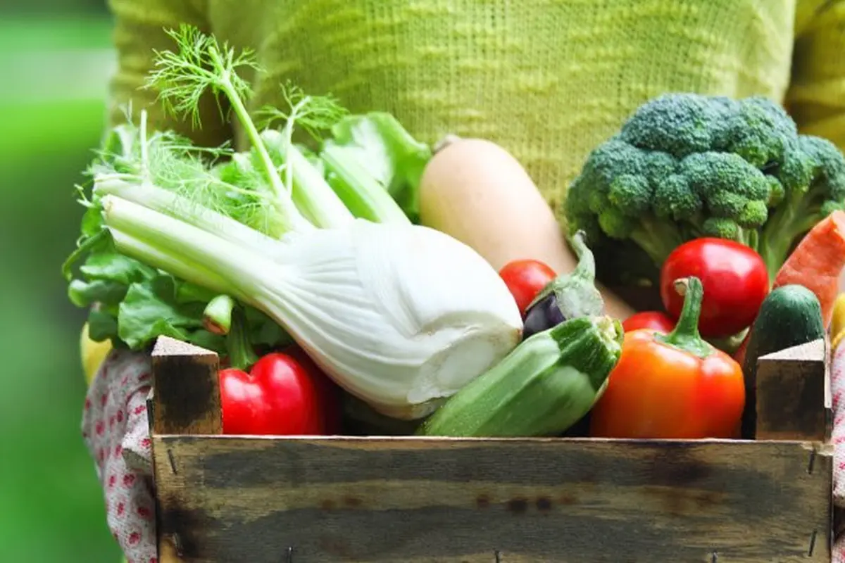 [Bintang] Nggak Suka Sayur Tapi Ingin Langsing? Ini Cara Diet yang Tepat!
