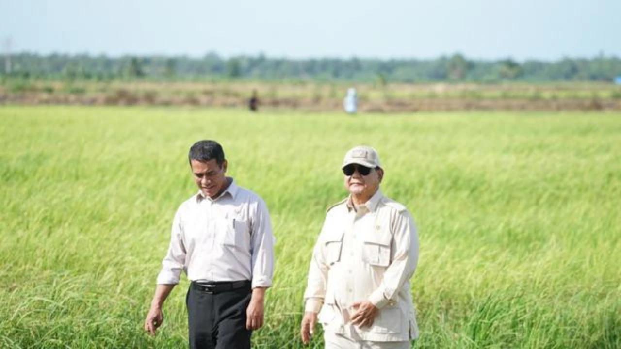Presiden Prabowo: Indonesia Sudah Swasembada Pangan Tahun 2025