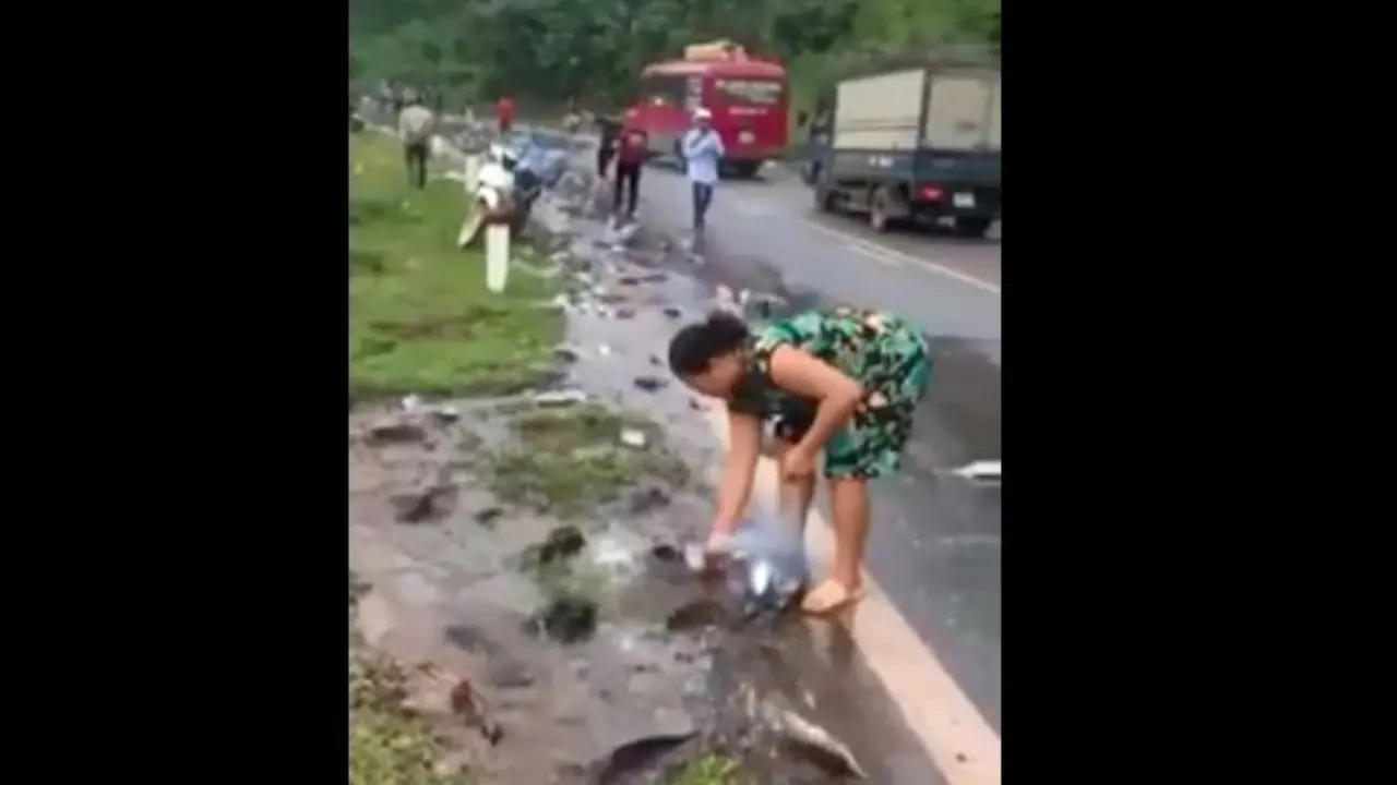 Heboh video banjir ikan lele yang di jalan raya yang disebut di Waduk Wadaslintang, Kebumen. (Foto: Liputan6.com/Istimewa/Muhamad Ridlo)