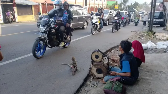 Doger doger monyet di sepanjang jalur Limbangan Barat hingga kawasan Sasak Beusi, Kecamatan Limbanagn Garut, Jawa Barat, cukup menghibur kalangan pemudik terutama anak-anak yang melintas di jalur mudik. (Liputan6.com/Jayadi Supriadin)