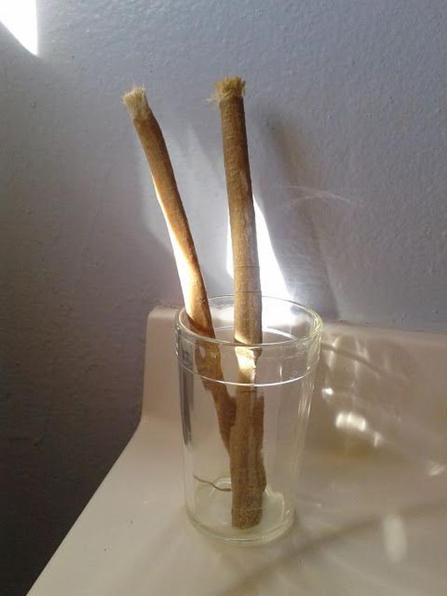 Ilustrasi Siwak (Sumber: Pinterest.com)