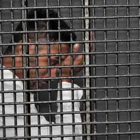 Sejak 2 Juni, Restu Sinaga ditangkap jajaran Satuan Tugas Narkoba Polres Metro Jakarta Selatan Kamis pagi pukul 07.00 WIB di kediamannya, kawasan Cipete Selatan, Cilandak, Jakarta Selatan. (Deki Prayoga/Bintang.com)