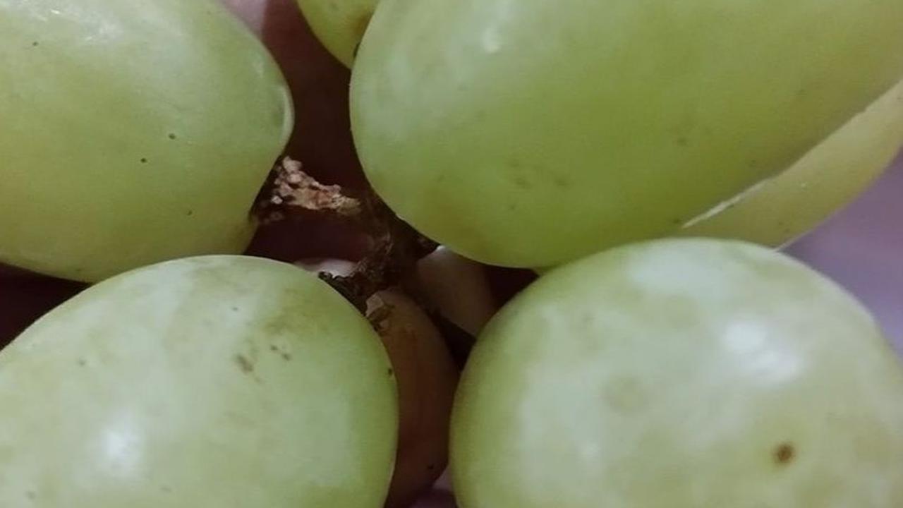 Tanpa Tepung, Ini Cara Buang Lilin dan Pestisida Buah Anggur Cuma dengan 2 Bahan Dapur