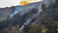 Pemerintah Kerahkan Seluruh Sumber Daya, Penanganan Karhutla Dipercepat