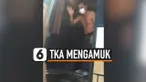 TKA China Banyuwangi thumbnail