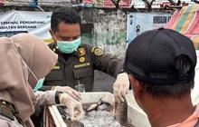 Pengawasan Pangan Ramadhan Sulawesi Utara Diperketat Barantin Jelang Idul Fitri