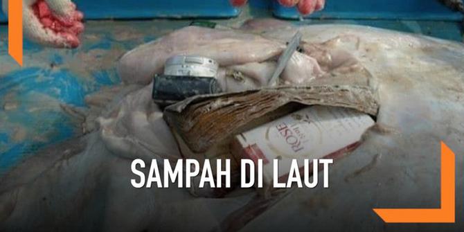 VIDEO: Viral, Perut Ikan Pari Berisi Kamera dan Bungkus Rokok
