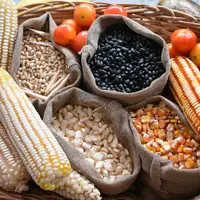 Ilustrasi/copyright unsplash.com/Zuriela Benitez