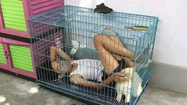6 Kelakuan Kocak Orang Rebahan Bareng Kucing Ini Bikin Tepuk Jidat