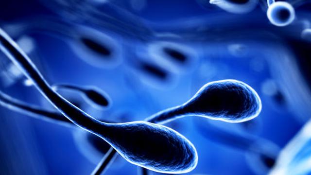 12 Manfaat Wortel Bagi Kesehatan Pria