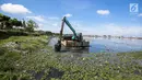 Petugas UPK Badan Air DLH Provinsi DKI Jakarta menggunakan alat berat membersihkan eceng gondok di Waduk Pluit, Jakarta, Jumat (22/2). Pendangkalan waduk menyebabkan tanaman eceng gondok tumbuh liar di waduk pluit. (Liputan6.com/Faizal Fanani)