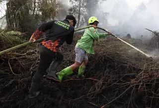 Petugas pemadam kebakaran menyemprotkan air untuk memadamkan api yang melalap lahan gambut di Kubu Raya, Kalimantan Barat, Indonesia, Selasa, 11 Agustus 2026. (Foto AP/Stefanus Taman)