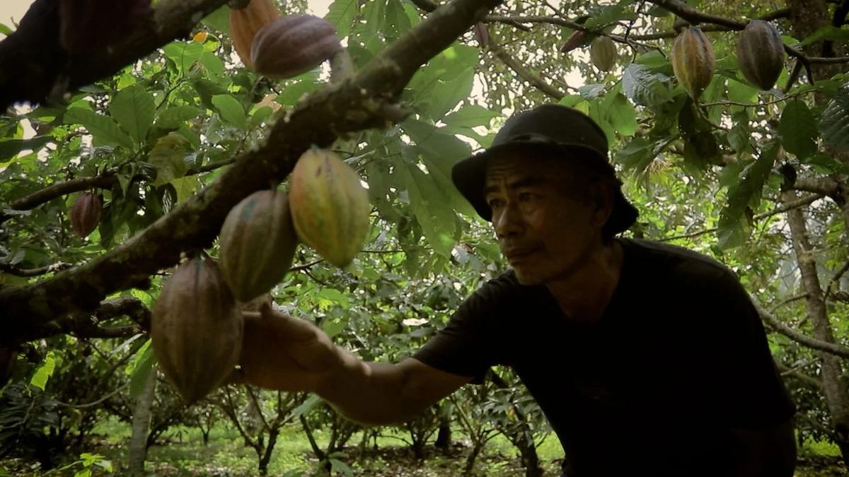Desa Sausu Tambu yang berlokasi di Kabupaten Parigi Moutong, Sulawesi Tengah