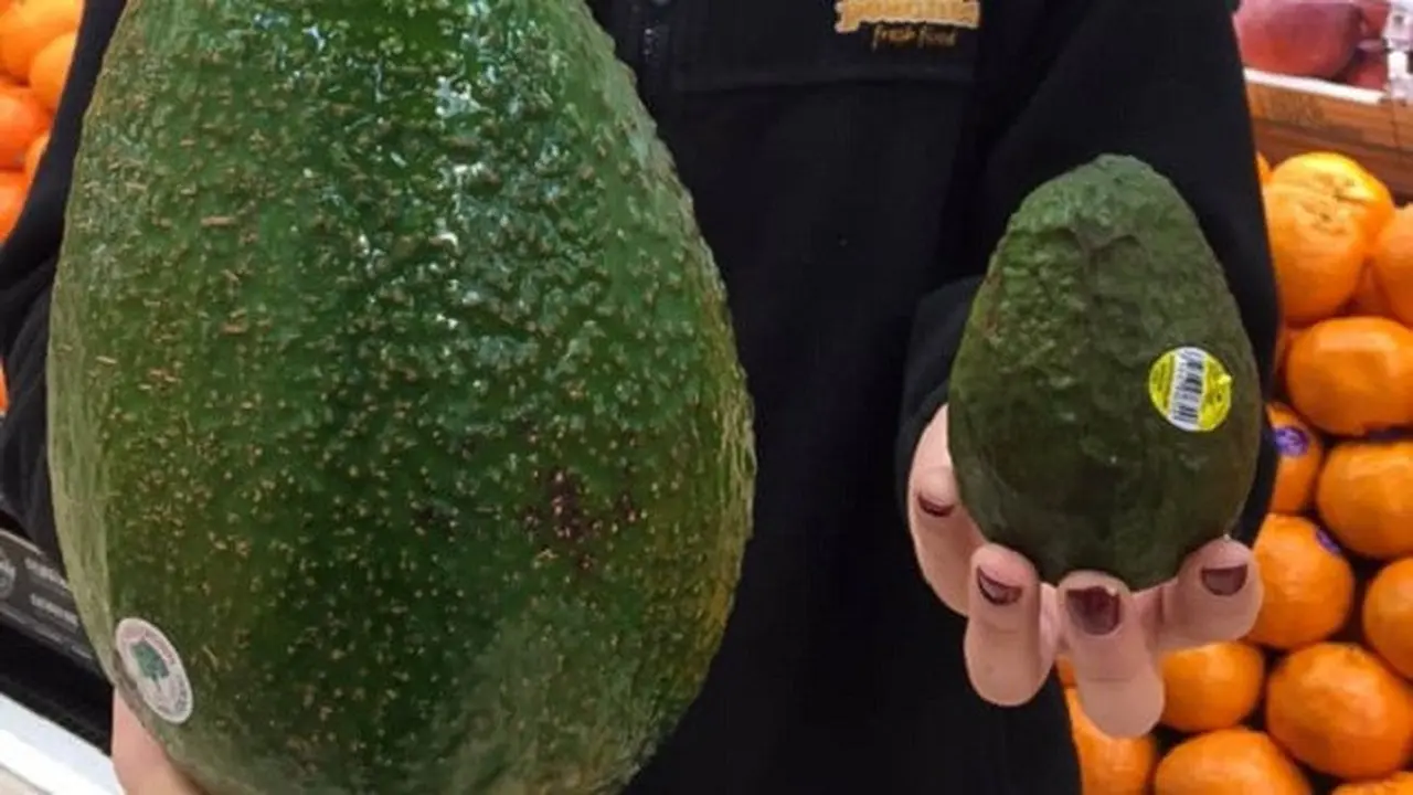 Avozilla