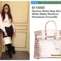 Bukan hal aneh bagi para selebriti untuk mengoleksi tas dengan harga yang super mahal. Namun sangat mengejutkan jika Maia Estianti dan 7 seleb cantiknya punya tas yang harganya 1 Milyar rupiah bahkan lebih. (Instagram/hermesselebriti)