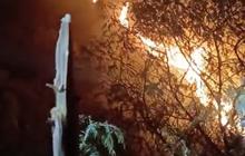 Lereng Sumbing Terbakar, 71 Pendaki Dievakuasi Turun