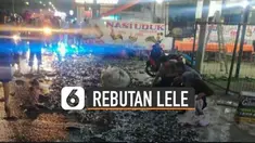 Beredar video truk bermuatan lele terguling. Warga rebutan tangkap lele.