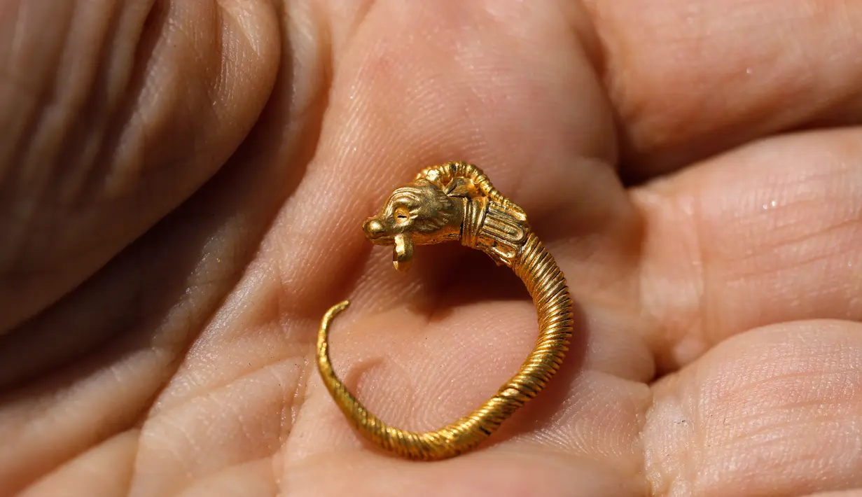 Arkeolog Israel menunjukkan anting emas langka yang ditemukan di situs arkeologi Kota Daud, Yerusalem Timur, Rabu (8/8). Anting berbentuk aneh ini menampilkan ornamen seperti hewan bertanduk. (MENAHEM KAHANA/AFP)