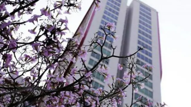 (Foto: Dok Instagram Pemkot Surabaya)