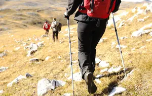 Pilihan Tongkat Hiking Terbaik agar Pendakian Lebih Nyaman dan Minim Kelelahan