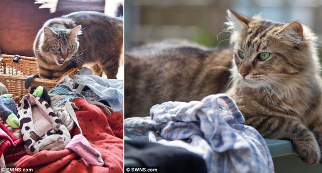 Foto: dailymail.co.uk