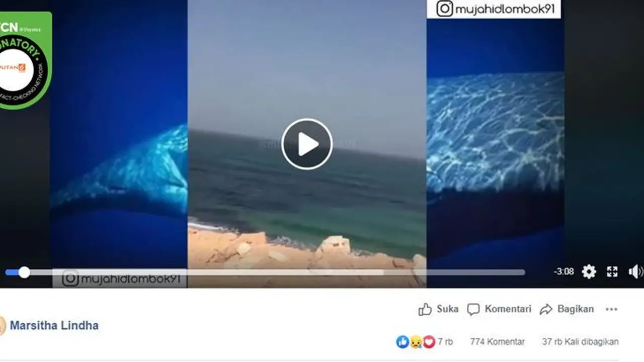 [Cek Fakta] Gambar Tangkapan Layar Tentang Suara Ikan Paus