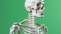 Tulang Mudah Patah, Dokter Ortopedi: Bisa Jadi Gejala Kanker. Foto: Freepik.