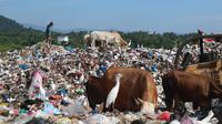 Tempat pembuangan sampah Air Dingin Kota Padang, Sumatera Barat