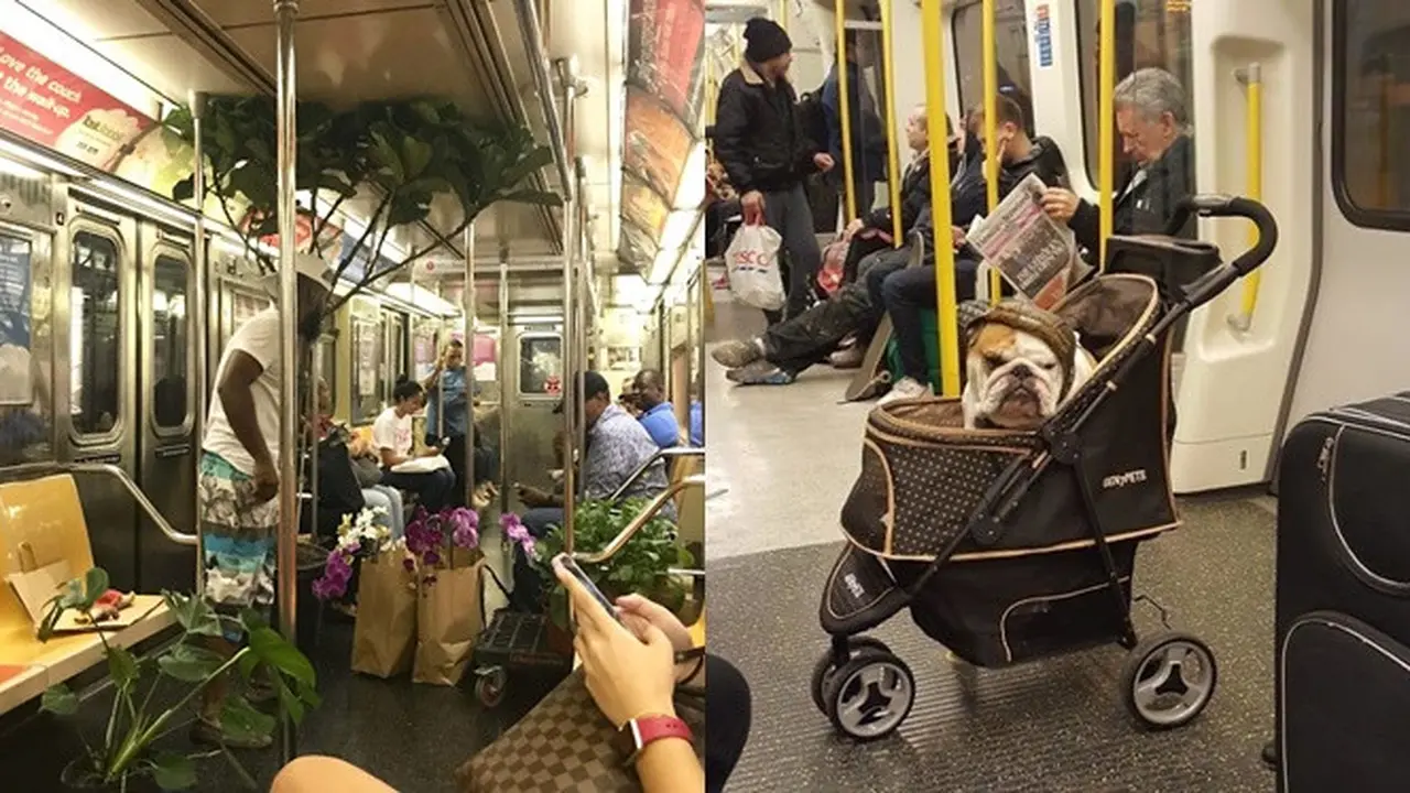Kelakuan Nyeleneh di Gerbong Kereta