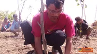 Warga Tanami Lahan Gundul Bekas Penambangan Pasir Besi
