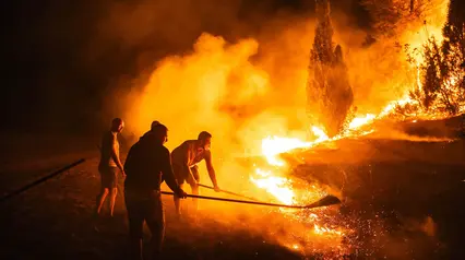 Kebakaran Hutan Melanda Serbia Saat Gelombang Panas Menerpa Eropa