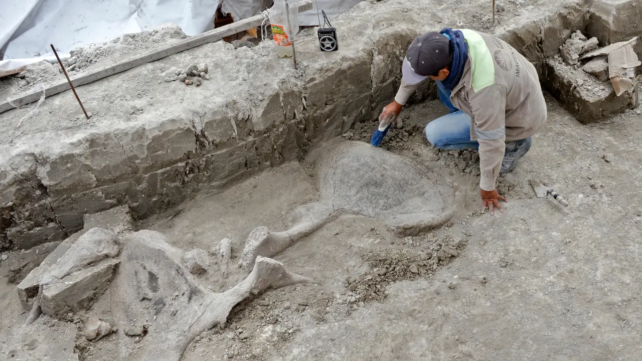 Kerangka Mammoth