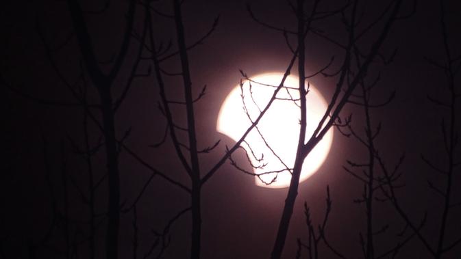 Bulan bergerak menutupi matahari saat fase gerhana matahari cincin di Fuyang, Provinsi Anhui, China, Kamis (26/12/2019). Gerhana matahari yang terjadi pada hari ini dapat diamati dari sejumlah wilayah mulai Afrika timur, seluruh Asia, Samudera India, dan Australia utara. (STR/AFP)