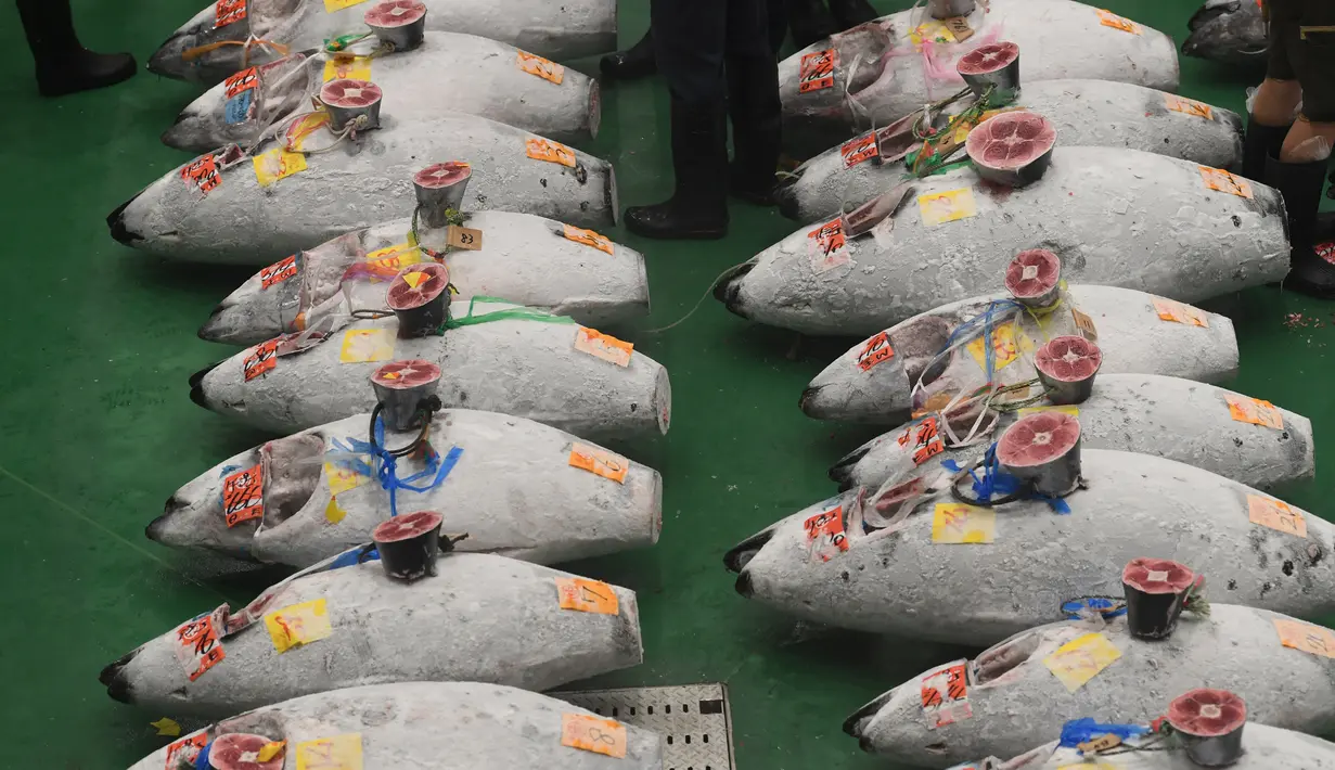 Ikan tuna beku ditampilkan untuk pelelangan pertama di pasar ikan Toyosu yang baru, pada hari pertama pembukaan di Tokyo, Kamis (11/9). Pasar ikan Toyosu menggantikan pasar ikan legendaris yang sudah mendunia, Pasar Tsukiji. (Toshifumi KITAMURA/AFP)