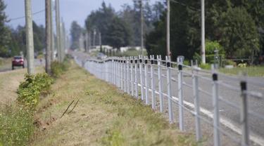 FOTO: Pagar Kabel Pembatas Kanada dan Amerika Serikat