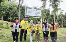 Dosen ULM Bangun Orchidarium Meratus, Lestarikan Anggrek Khas Kalimantan Selatan