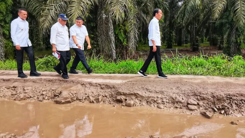Jokowi Mendadak Cek Jalan Rusak di Labuan Batu Utara yang Sempat Viral