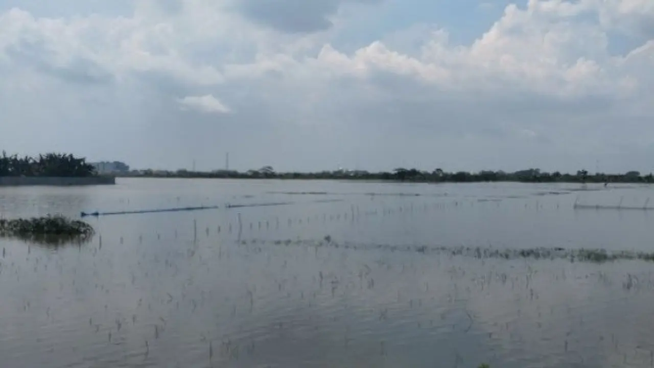 Banjir Demak