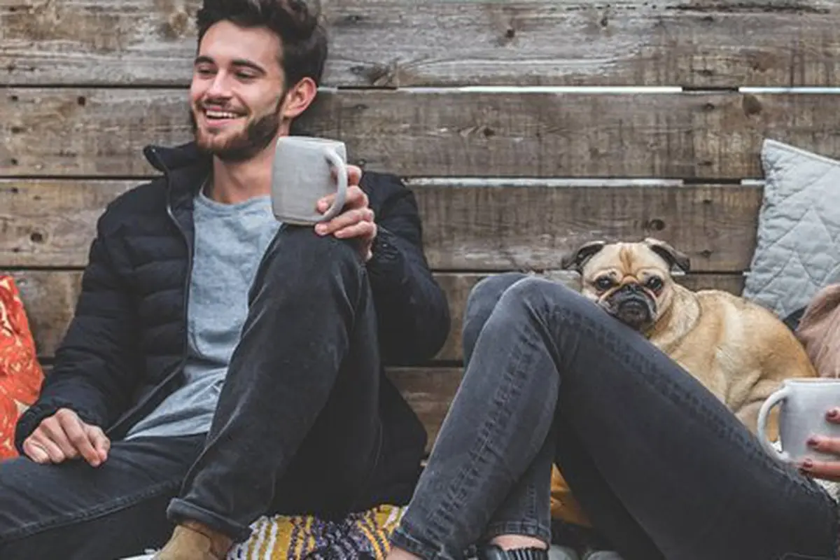copyright pixabay.com