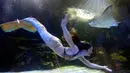 Penampilan putri duyung Hales Parcels saat menghibur penonton di Virginia Aquarium di Virginia Beach (3/4). Hales Parcels tampil berenang menggunakan pakaian ala putri duyung. (AP Photo/Steve Helber)