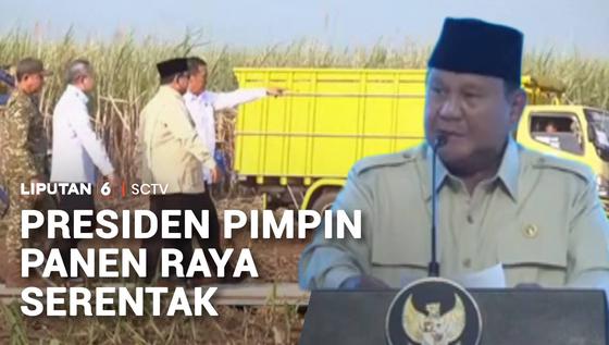 Presiden Pimpin Panen Raya Serentak