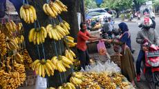 Pembeli memilih buah pisang di Pasar Lembang, Kota Tangerang, Banten, Kamis (30/3/2023). (Liputan6.com/Angga Yuniar)
