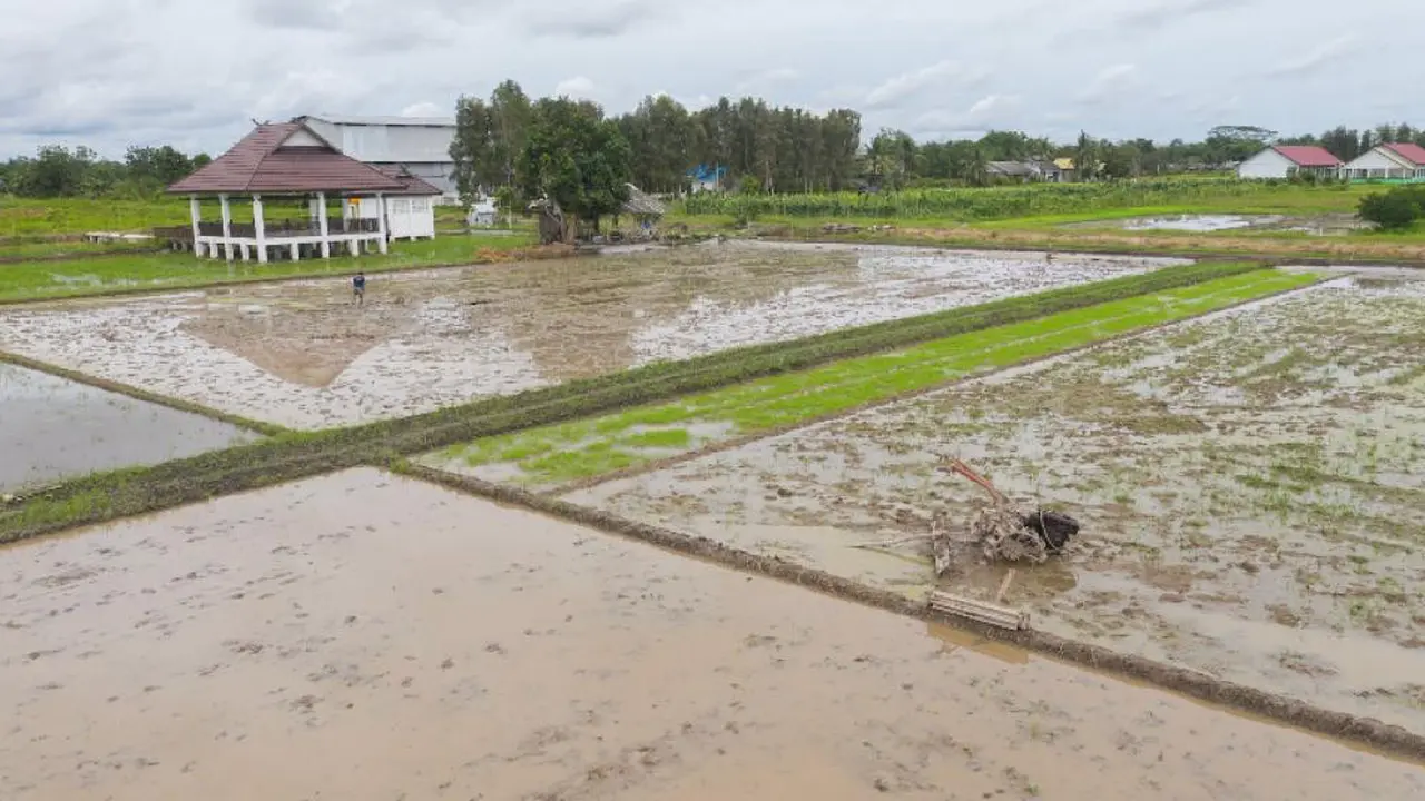 Program Taksi Alsintan Sukses Dorong Kemandirian Petani dan Mekanisasi Pertanian