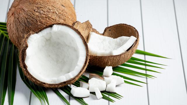 Ilustrasi Buah Kelapa