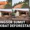 Beginilah kondisi Desa Lobu Pining, Tapanuli Utara, Sumatera Utara, setelah dilanda longsor. Sebagian besar rumah warga tertimbun tanah, dan mereka menuding deforestasi sebagai penyebab utama bencana ini.